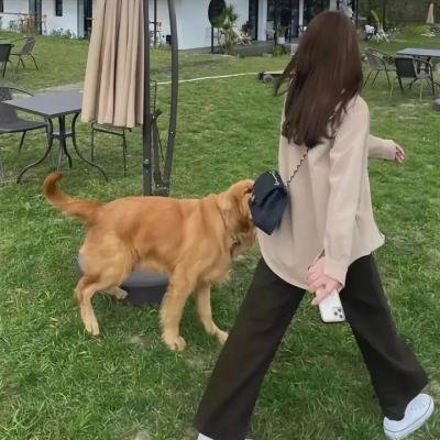 大逃狱